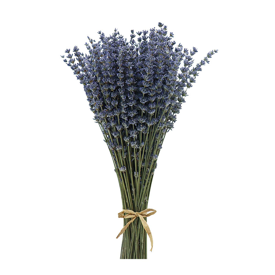 Ramo de Lavanda